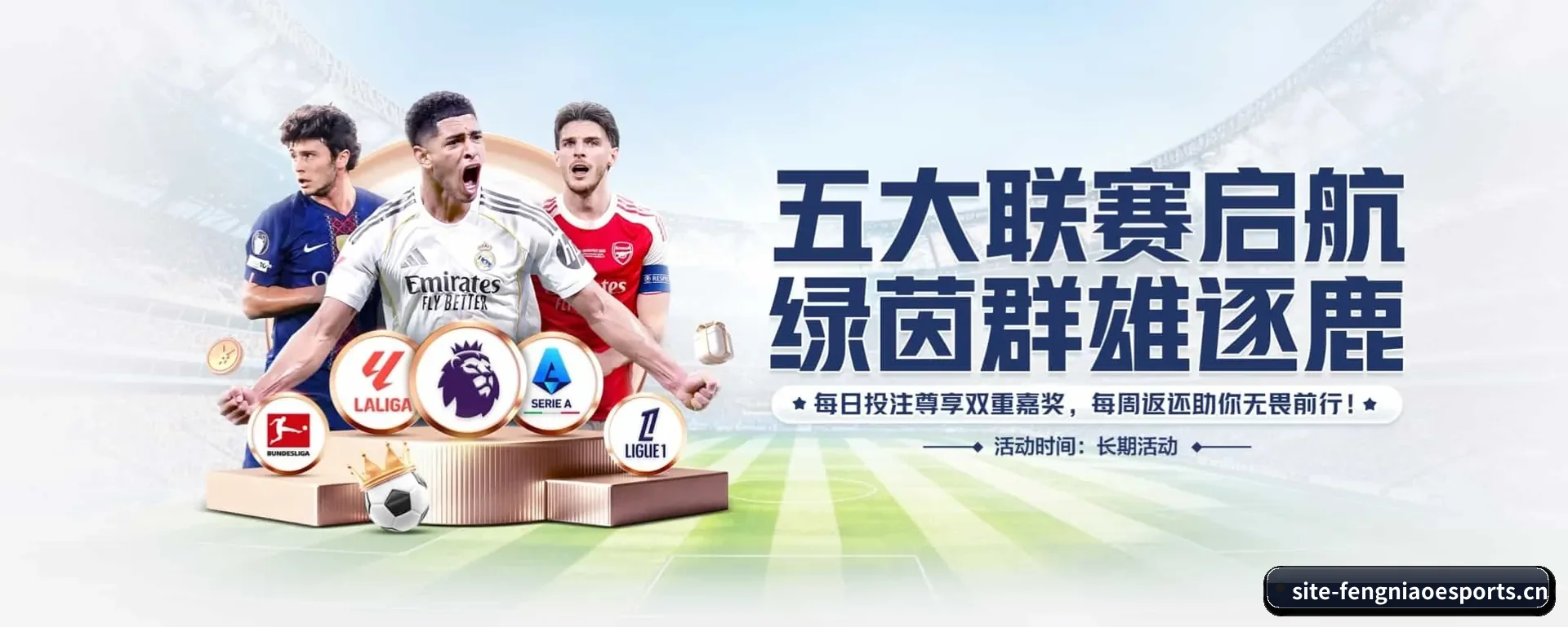 五大服务分区,信息按项目类别